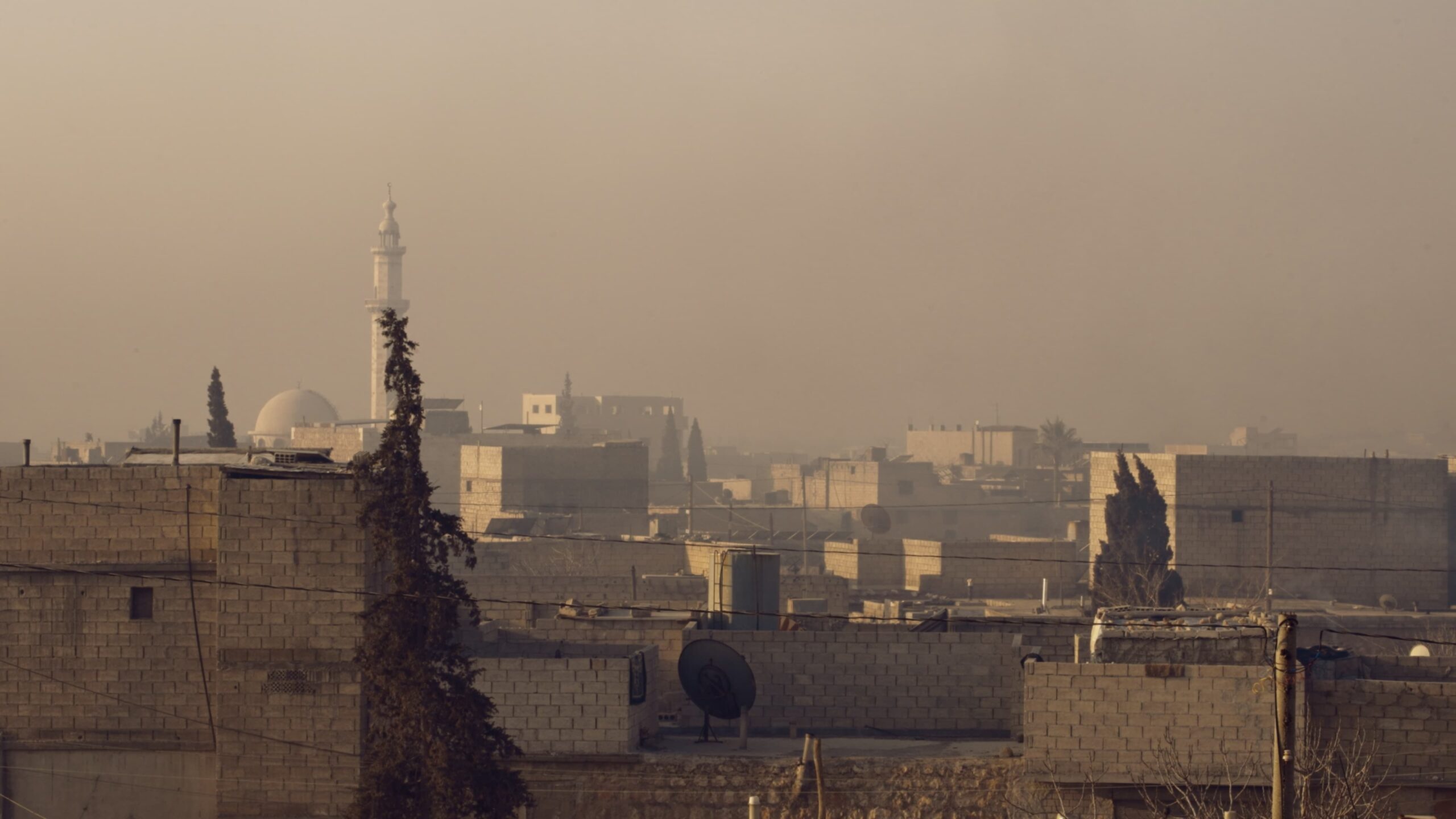 Kedi Adam Arabic, Turkish Movie Streaming Online Watch