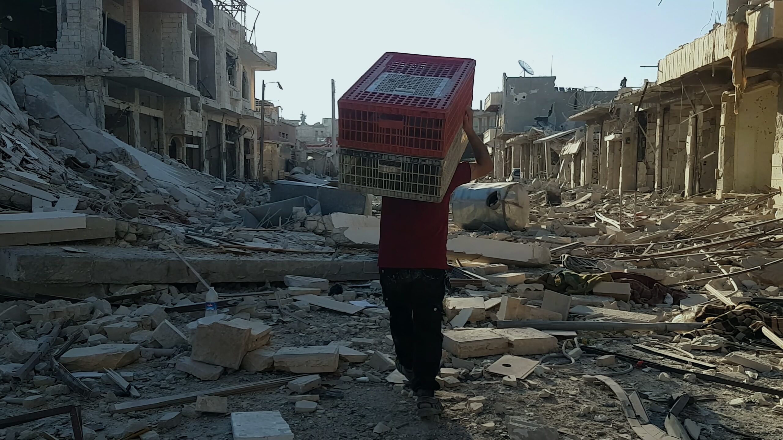 Kedi Adam Arabic, Turkish Movie Streaming Online Watch