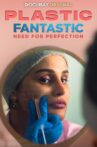 Plastic Fantastic: Need for Perfection Movie Streaming Online