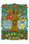 Dead & Company: 2021-08-16 Coastal Credit Union Music Park at Walnut Creek, Raleigh, NC Movie Streaming Online