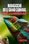Madagascar or the Great Carnival of the Cameleons Movie Streaming Online
