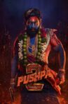 Pushpa 2 - The Rule Movie Streaming Online