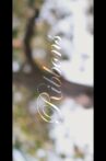 Ribbons Movie Streaming Online