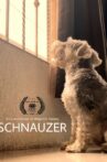 Schnauzer Movie Streaming Online