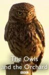 The Owls and the Orchard Movie Streaming Online