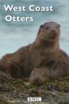 West Coast Otters Movie Streaming Online