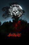 Amavas Movie Streaming Online