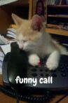 funniest call Movie Streaming Online