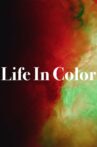 Life In Color Movie Streaming Online