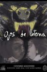Ojos de linterna Movie Streaming Online