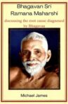 Ramana Maharshi Foundation UK: Michael discussing the root cause diagnosed by Bhagavan Movie Streaming Online