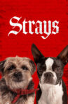 Strays Movie Streaming Online