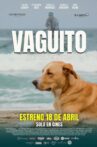 Vaguito Movie Streaming Online
