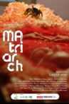 A Matriarca Movie Streaming Online