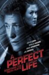 A Perfect Life Movie Streaming Online