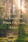 A Special Place to Escape to When Life Gets Crazy Movie Streaming Online