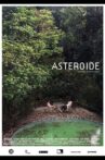 Asteroid Movie Streaming Online