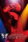 Ayumi Hamasaki Countdown Live 2010-2011 A: Do It Again Movie Streaming Online