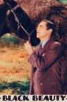 Black Beauty Movie Streaming Online