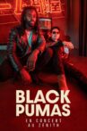 Black Pumas en concert au Zénith de Paris Movie Streaming Online