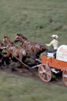 Chuckwagon Movie Streaming Online