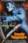 Deadly Vengeance Movie Streaming Online