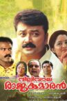 Dilliwala Rajakumaran Movie Streaming Online