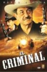 El criminal Movie Streaming Online