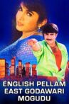 English Pellam East Godavari Mogudu Movie Streaming Online