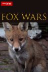 Fox Wars Movie Streaming Online