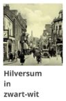 Hilversum in Black and White Movie Streaming Online
