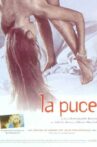 La puce Movie Streaming Online