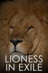 Lioness in Exile Movie Streaming Online