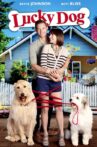 Lucky Dog Movie Streaming Online