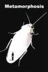 Metamorphosis Movie Streaming Online