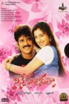 Ninne Pelladatha Movie Streaming Online