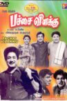 Pachai Vilakku Movie Streaming Online
