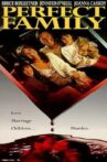 Perfect Family Movie Streaming Online