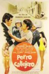 Perro callejero Movie Streaming Online