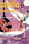 Sangue Toureiro Movie Streaming Online