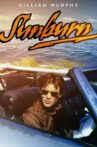 Sunburn Movie Streaming Online