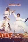 Swift Shaolin Boxer Movie Streaming Online