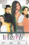 Tehzeeb Movie Streaming Online
