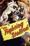 The Fighting Stallion Movie Streaming Online