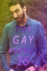 The Gay Agenda 16 Movie Streaming Online