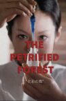 The Petrified Forest Movie Streaming Online