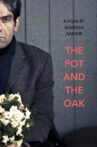 The Pot and the Oak Movie Streaming Online