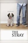 The Stray Movie Streaming Online