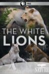 The White Lions Movie Streaming Online