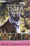 Tiger: The Elusive Princess Movie Streaming Online